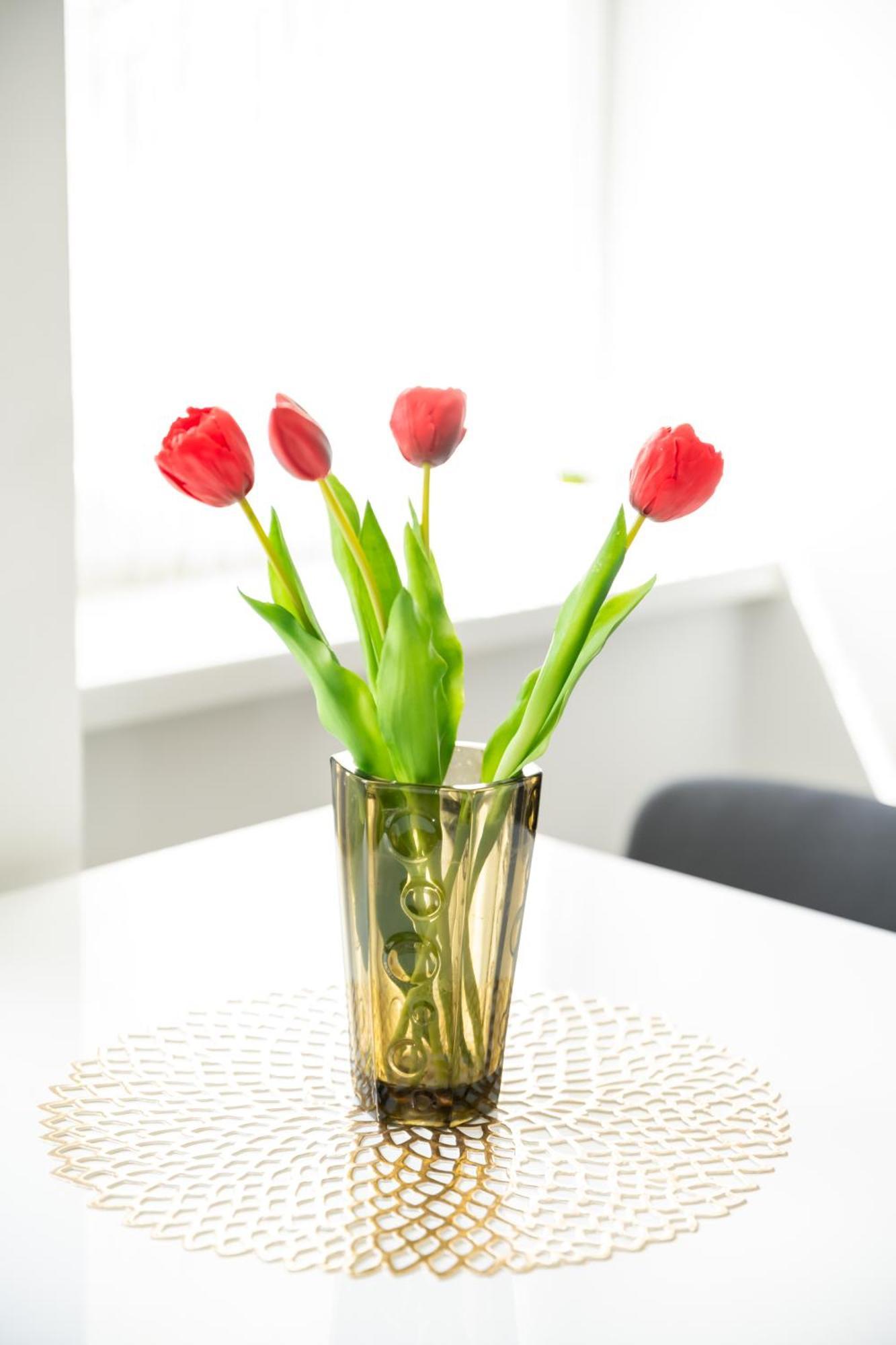 Winestone Corner Apartment Debrecen Ngoại thất bức ảnh